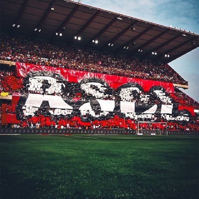 ArthurS85257157's profile picture. 🔴⚪️ @Standard_RSCL