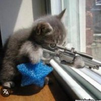 Le Sniper OTP (@sniperotp) 's Twitter Profile Photo Le Sniper OTP (@sniperotp) 's Twitter Profile Photo
