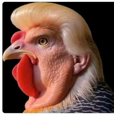 “howling rosebud anus mouth” Marina Hyde on Trump.