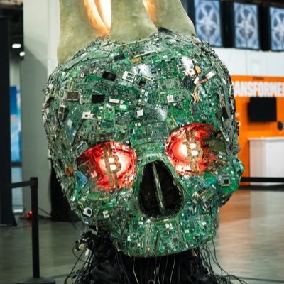 DavidZappa08's profile picture. 