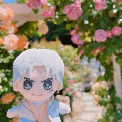 おりごさんのプロフィール画像