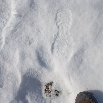 DBL_UR_Money's profile picture. Web Currency build