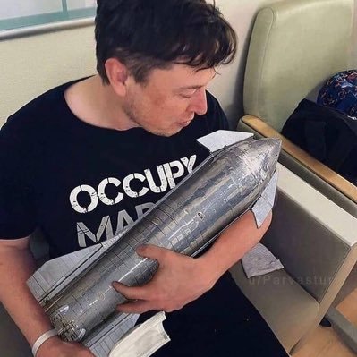 musk65329's profile picture. 