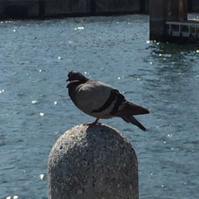 口マスリハ゛さんのプロフィール画像
