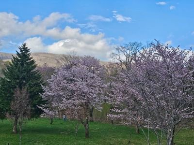 kohkisan1's profile picture. 妻は韓国人の日韓家庭です。
日本と韓国を愛するぽっちゃりパパです
スポーツ（特にバレーボール）と格闘技（特にプロレス）をこよなく愛してます
音楽はギターの弾き語りをします
歌うことも下手ですが大好き🍀😌🍀
聖歌隊に参加してます
南北統一の思いは韓国人より熱い思いを持つ日本人になるため日々祈り学んでいます