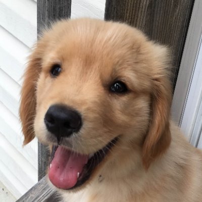 PancakeCS2's profile picture. i like pancakes
https://t.co/6ecMX9Fljv