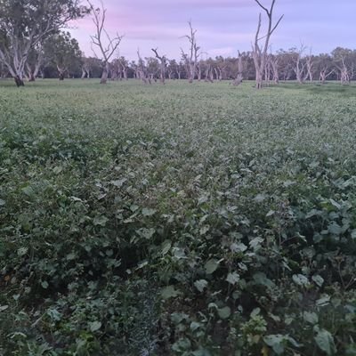 me123me234me345's profile picture. 