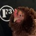 F3 The Rooster, Bluff Park, AL (@f3_the_rooster) Twitter profile photo F3 The Rooster, Bluff Park, AL (@f3_the_rooster) Twitter profile photo