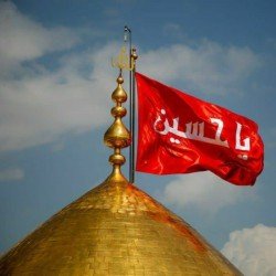 نه سیاسی ام، نه انقلابی نما. فقط نمیتونم بی تفاوت باشم وقتی آقام تنهاست ...