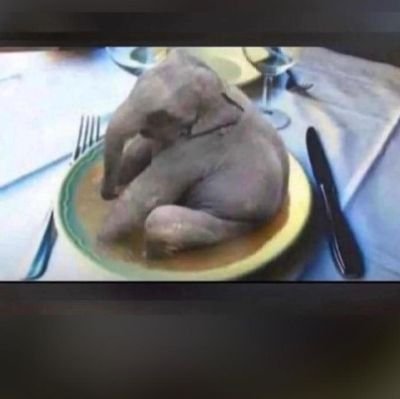 weeked_witch's profile picture. 🪄