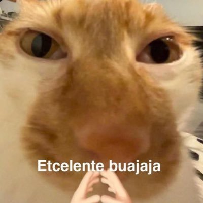 todos los chismes de los campamentos, rumores y más /// pueden usar dm o el link para poner su confesión todo será anónimo