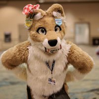 CodyAkita ➡️Megaplex😏🎀 (@ccoyote0) 's Twitter Profile