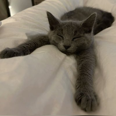 7_pwsh's profile picture. 07.166.47