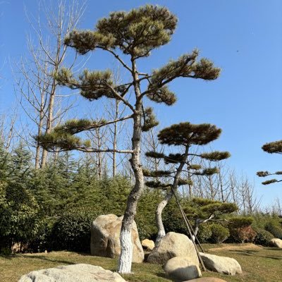 Changwei2713051's profile picture. 2015年第一次接触比特币。 2020 年参与比特币矿机。2024年参与比特币生态src20通道建设 布道 者