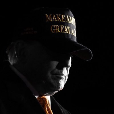 AnnCary6019's profile picture. 🇺🇸🇺🇸🇺🇸MAGA🇺🇸🇺🇸🇺🇸