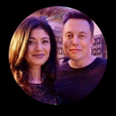 Protecting Elon Musk's online presence from impersonators is my top priority, leveraging my cybercrime expertise to safeguard his digital identity.