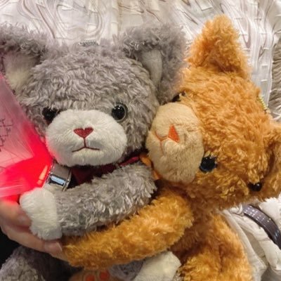 【交換専用/成人済社会人】日中仕事につきご対応は夜〜深夜が多め。可能であればポスト投函発送希望(仕事の都合上予定通り窓口に向かえない可能性がある為)。コンプ目的や友人代行等で必要数を超えた推しを交換に出す場合も有ります。お声掛け頂いた際はツイフィ、リトリン等読みません。長文苦手なんですすみません🙏