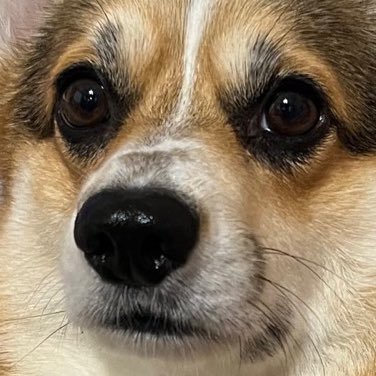 babysoll55815's profile picture. 