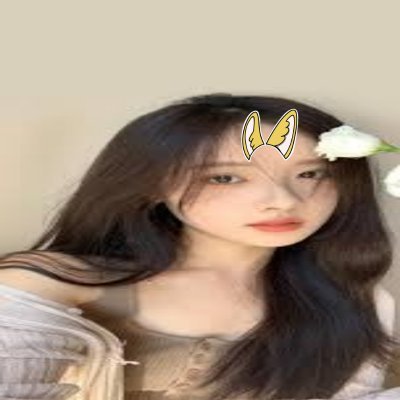 DriscollP17610's profile picture. Sahara #0047770