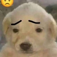:3 (@anonymous741060) 's Twitter Profile