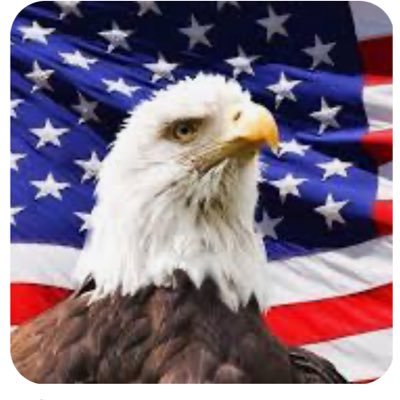 longUSAinvestor's profile picture. $sofi $btc $tsla $pltr $hood $mstr