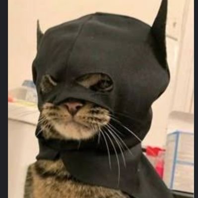 trilaylaylom_'s profile picture. kelimlerime dikkat etmiyorum