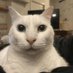 Agent Fyrous (@agentfyrous) Twitter profile photo Agent Fyrous (@agentfyrous) Twitter profile photo