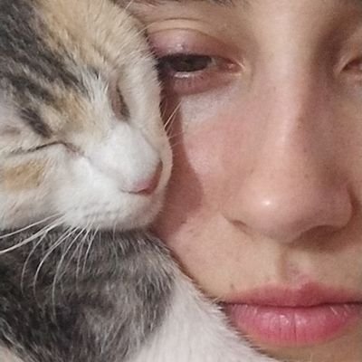 estoy llorando no molestar