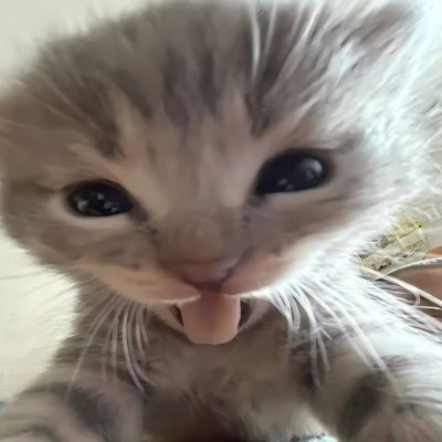 iwishitwasmee's profile picture. eu amo o meu namorado e eu surto