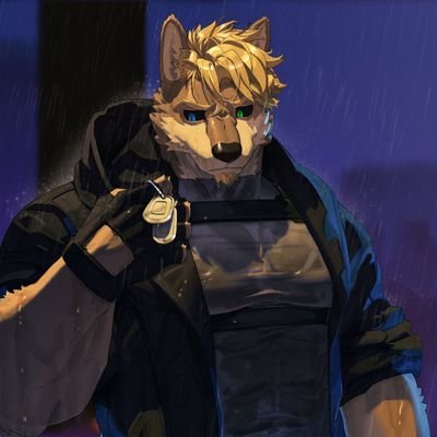 Kristoffer Câswellさんのプロフィール画像