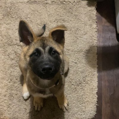 XStrxch78812's profile picture.