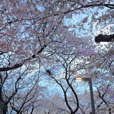 jjin9ya9's profile picture. 