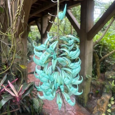 cupbag's profile picture. Look around but make no sound