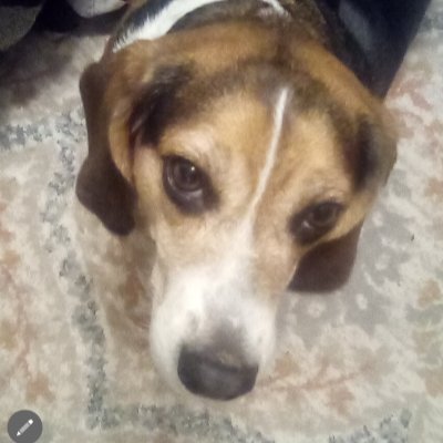 GrandmaTeching's profile picture. 