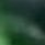 RORO38958's profile picture. (ولد)