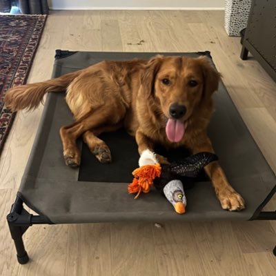 samcoleman2's profile picture. 