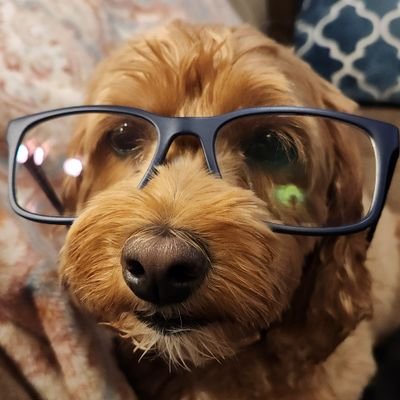 CPDOcrypto's profile picture. 