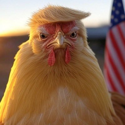 DannyBoyOnARoll's profile picture. Cacophony cutting Canuck