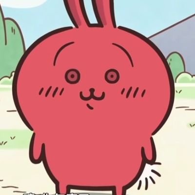 Maccybaccyさんのプロフィール画像