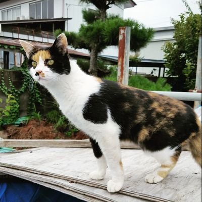 mZb5ZmL5wo9698's profile picture. 