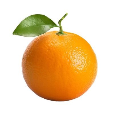 43ORANGE_0_0_'s profile picture. 🌷🐝 | Deaf Artist 🍊