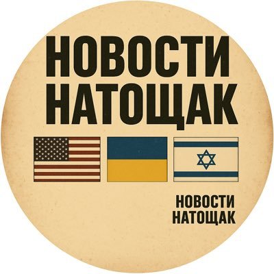 NATOSHAKNEWS's profile picture. 