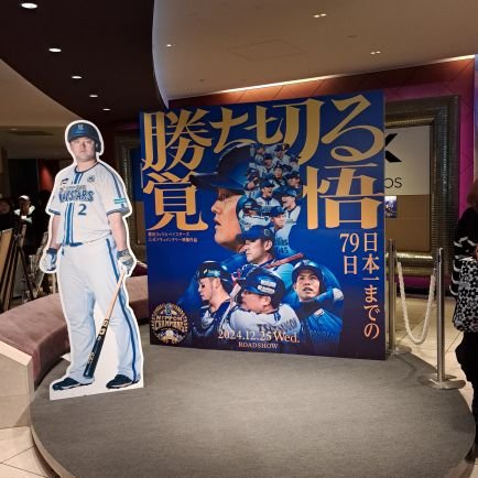 yakyu_love9999's profile picture. ベイスターズ  #5 #26 #41 #53 #5 ロッテ  #1 #6 #61 #65 日ハム  #30 #53 #63

ME:I 心菜 𝑳‌𝑶‌𝑽‌𝑬