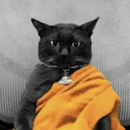 mowemowemowe88's profile picture. 🍀✨️💚 #6CODE