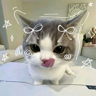 ໒ 𓍯 김준규 🎀🫙 kawaii buns mi lolict cate ˑ 🥛𐔌ྀི eeps* soft sugar candy name ₊˚ 김준규 💭𓂃