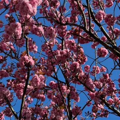 l_unhinged's profile picture. 