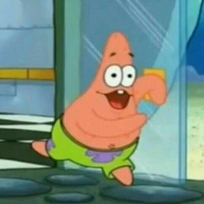 rocat05's profile picture. rocat.edge🦭