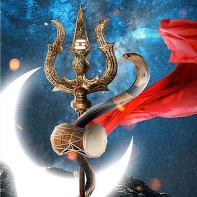 SelM2011's profile picture. 