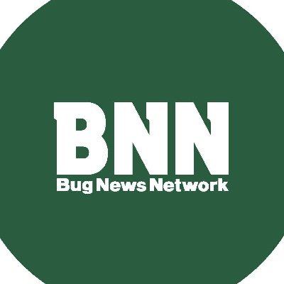 BNN編集部 Profile