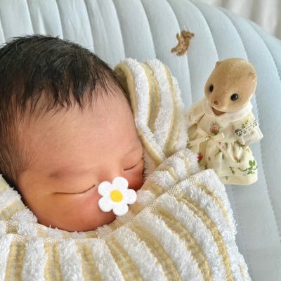 ラッコのきくえさんさんのプロフィール画像